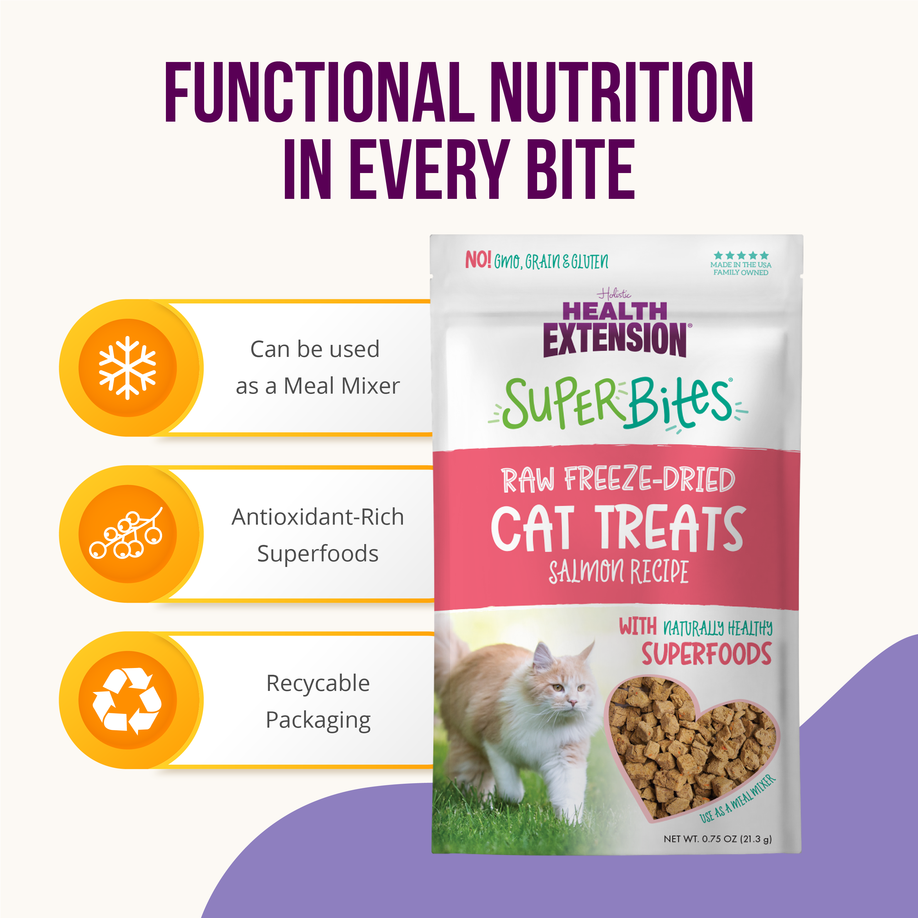 Health Extension Pet Care - SuperBites Freeze Dried Raw - Salmon Recipe (Cat): 0.75oz